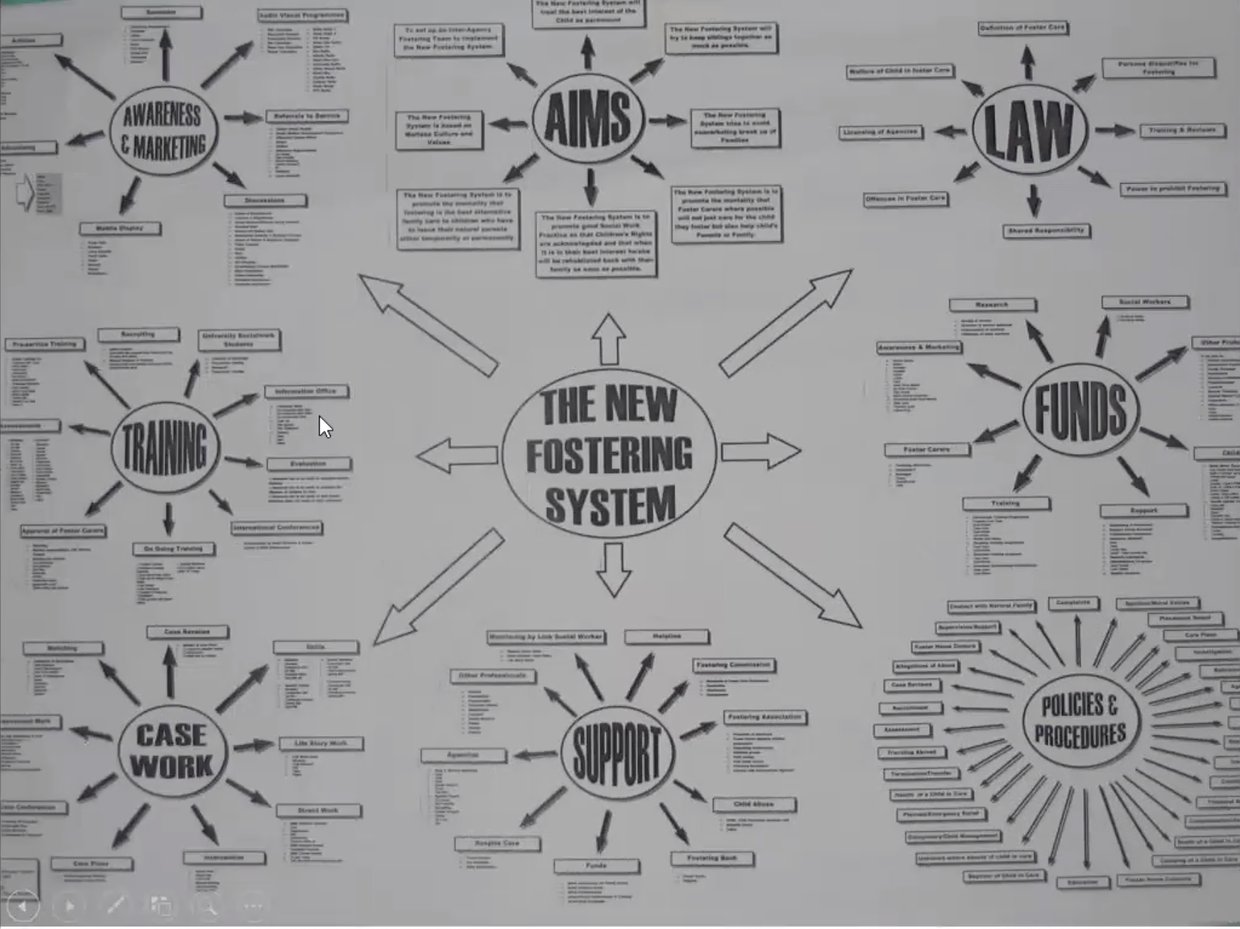 Maltese Foster Care Mind-Map.